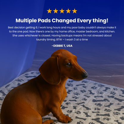BloomPad - The Pee Pad Dogs Actually Use