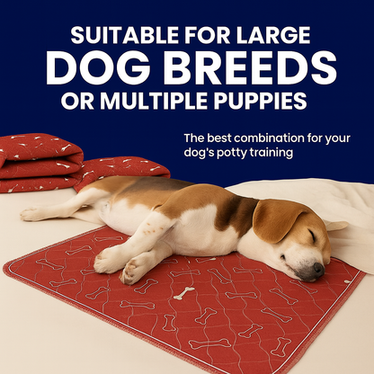 BloomPad - The Pee Pad Dogs Actually Use