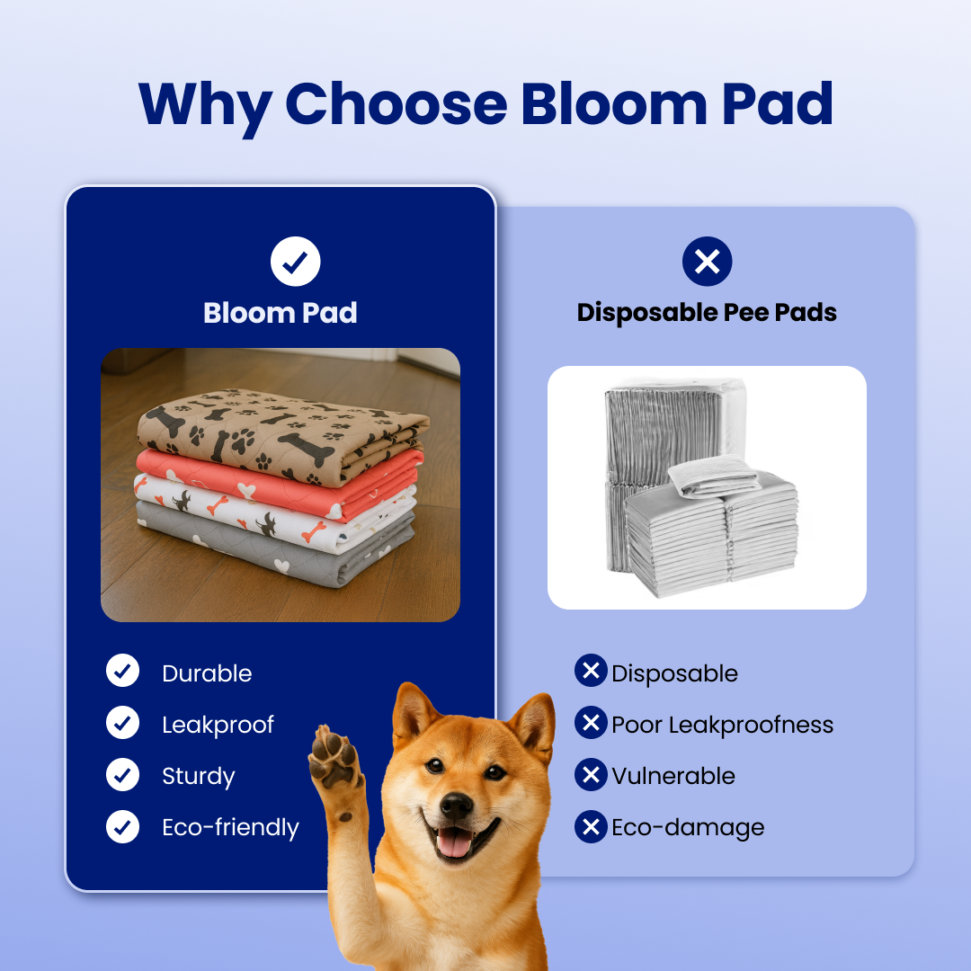 BloomPad - The Pee Pad Dogs Actually Use