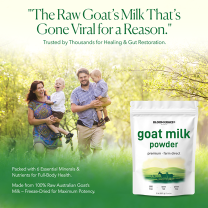Goat Milk Powder
