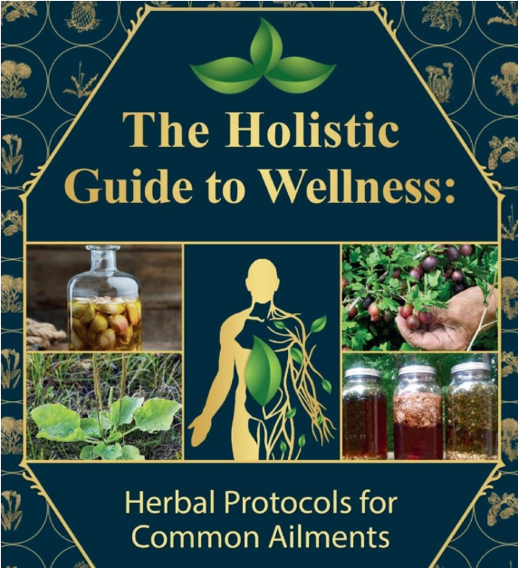 Hollistic Guide to Wellness E-Book