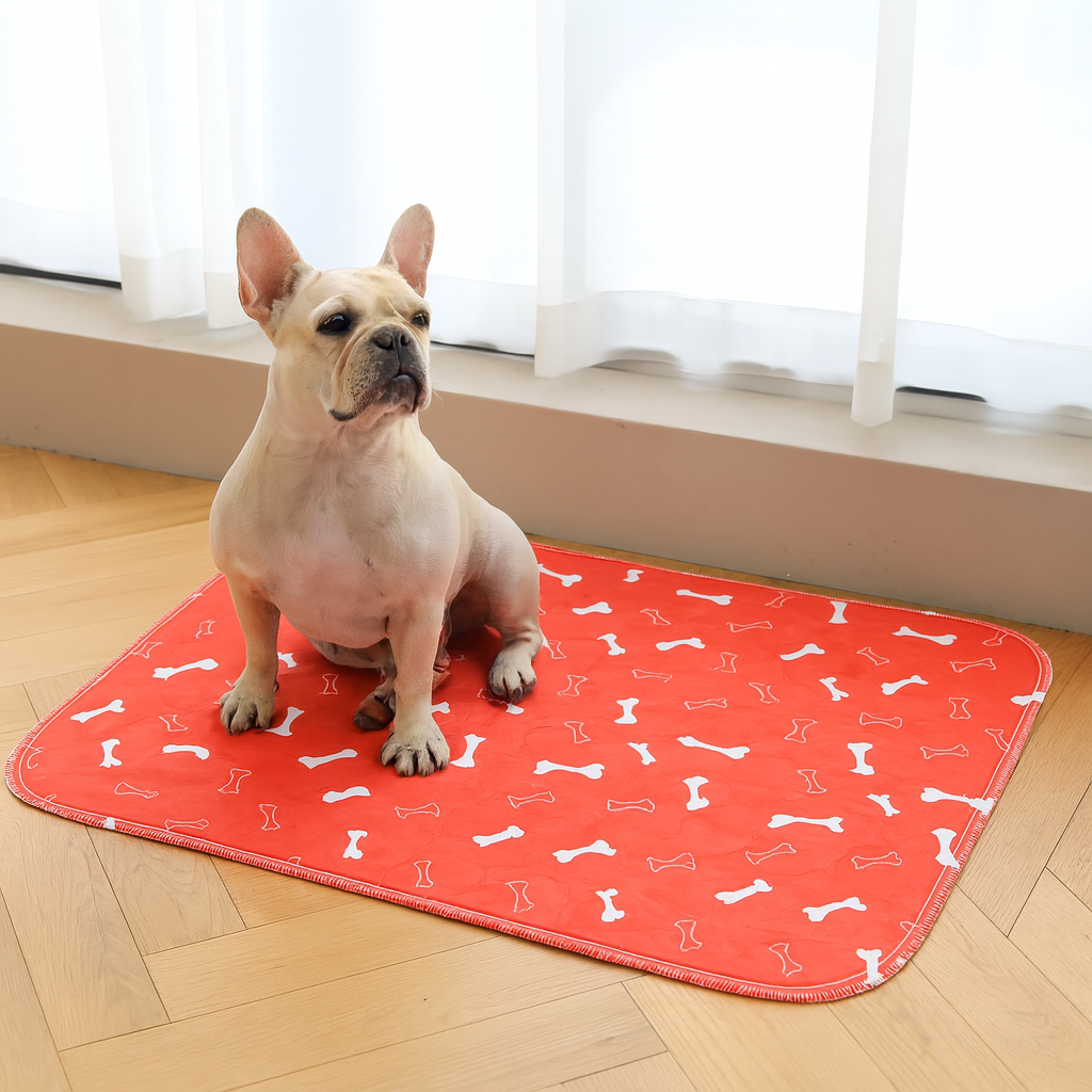 BloomPad - The Pee Pad Dogs Actually Use